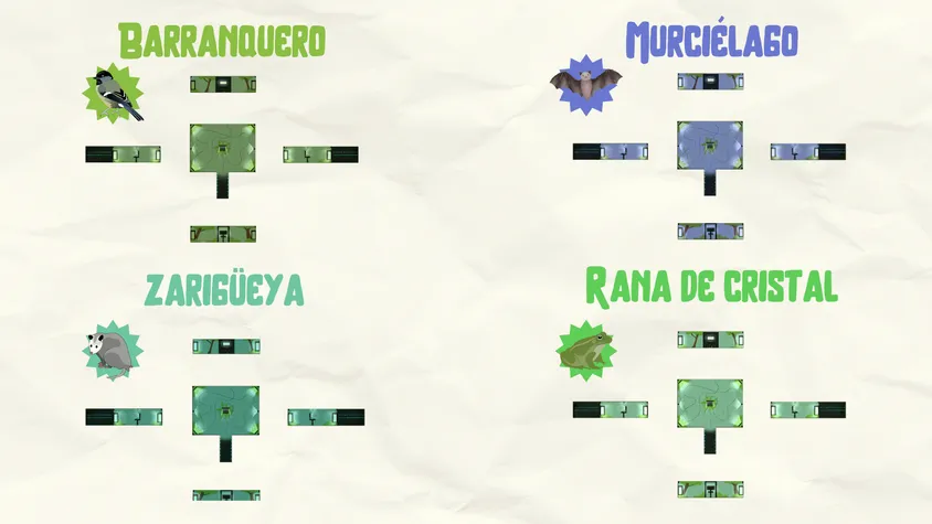 Diagrama en cuatro cuadrantes sobre papel crema que muestra el mapa del pabellón con diferentes tonos de iluminación: verde para el barranquero, azul para el murciélago, verde oscuro para la zarigüeya y verde claro para la rana de cristal.